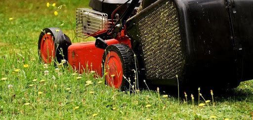 PORTOGRUARESE: ECOCENTRI CHIUSI, RACCOLTA STRAORDINARIA DI ERBA A DOMICILIO DA PARTE DI ASVO